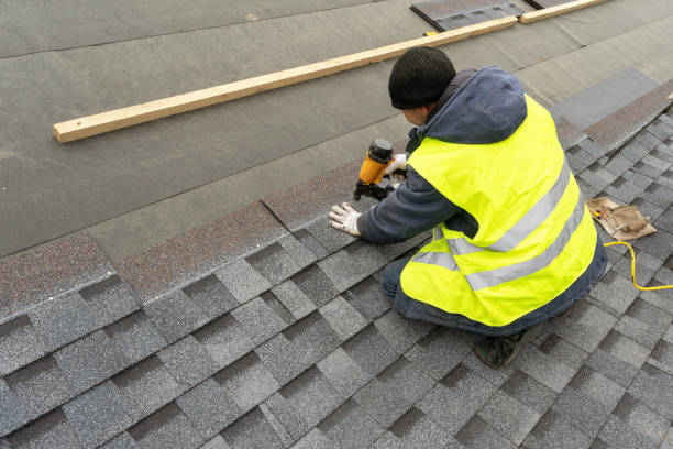 Roof Gutter Cleaning in Seville, FL