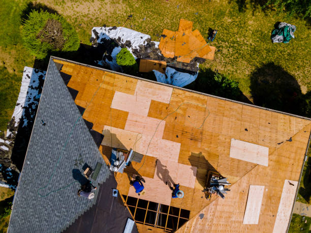 Best Emergency Roof Repair  in Seville, FL