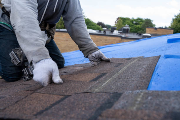 Best Residential Roofing Contractor  in Seville, FL