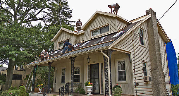 Professional Roofing Contractor in Seville, FL