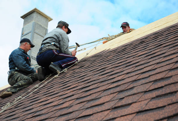 Best New Roof Installation  in Seville, FL